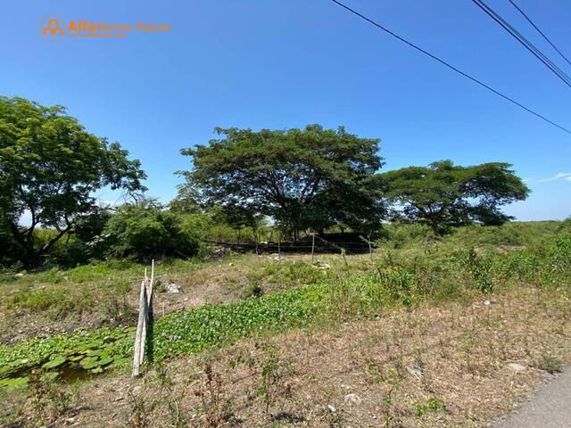 Venta terreno industrial  y comercial 7.437m2  Vía Durán- Bo