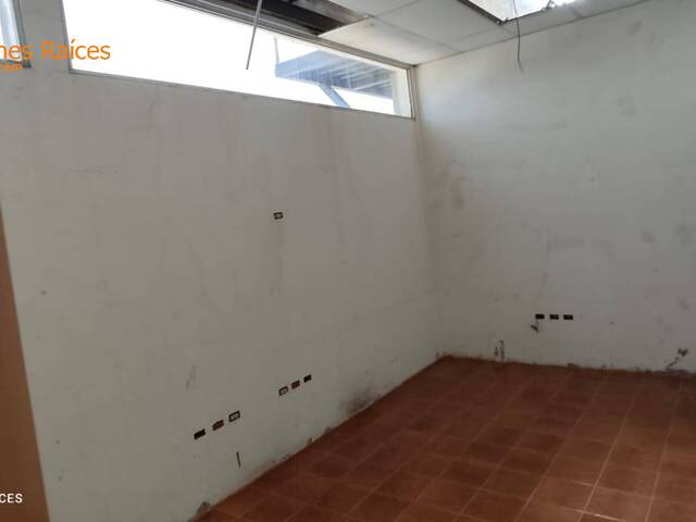 #4253 - Bodegas para Alquiler en Guayaquil - G