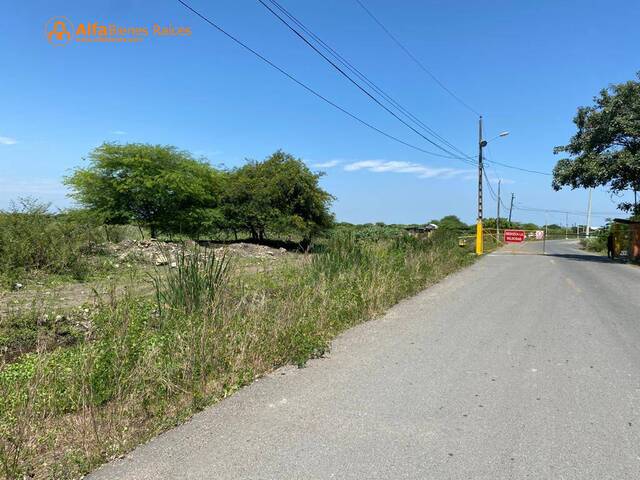 #4279 - Terrenos Industriales para Venta en Durán - G