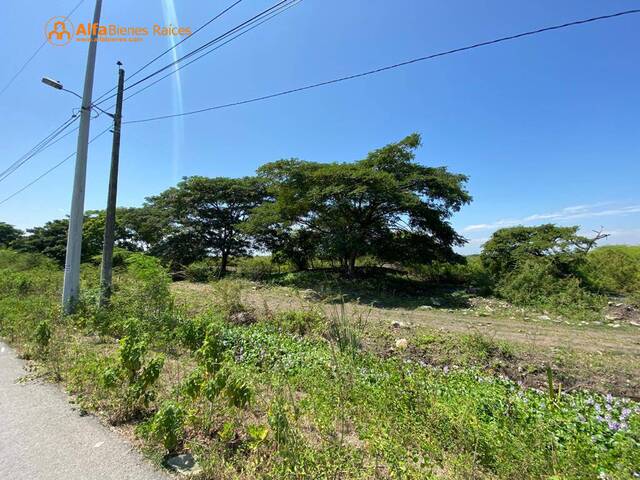 #4279 - Terrenos Industriales para Venta en Durán - G