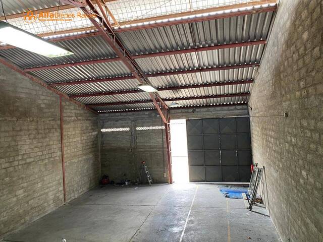 Bodegas para Alquiler en Guayaquil - 5