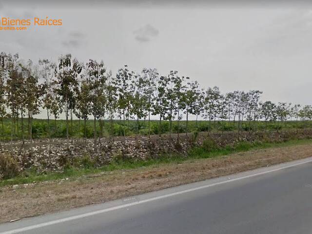 #4359 - Terrenos Industriales para Venta en Durán - G