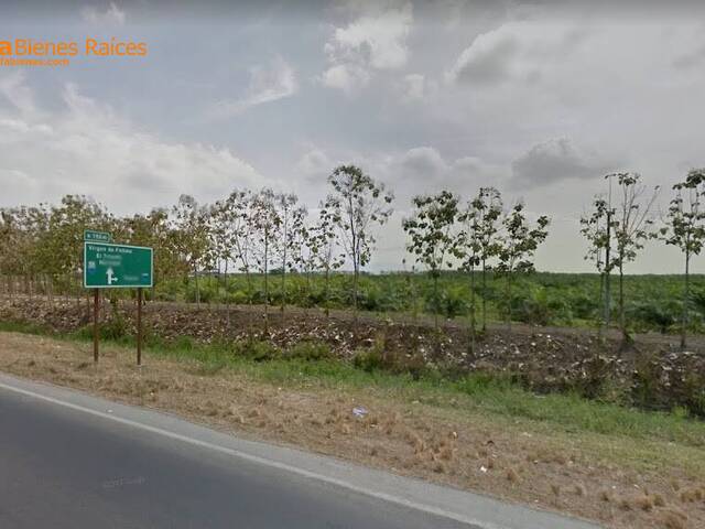 #4359 - Terrenos Industriales para Venta en Durán - G