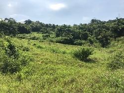 Terreno para Alquiler en Guayaquil - 4