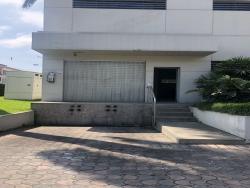 Oficinas para Alquiler en Guayaquil - 4