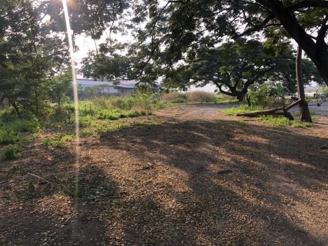 Terreno para Venta en Yaguachi - 4