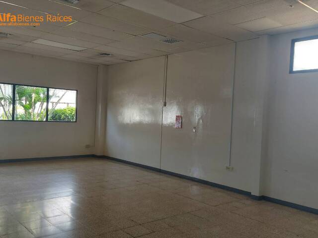 Oficinas para Alquiler en Guayaquil - 4