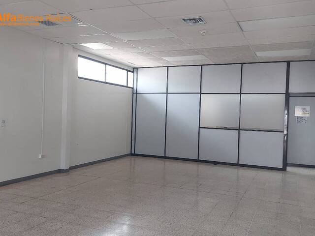 Oficinas para Alquiler en Guayaquil - 5