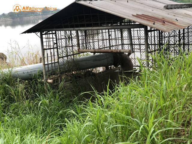Hacienda para Venta en Babahoyo - 5