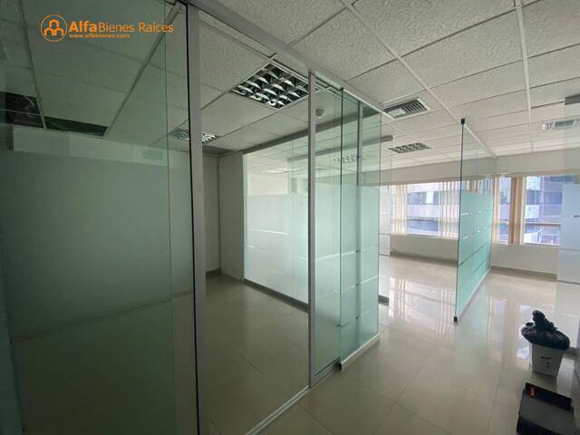 #4142 - Oficinas para Alquiler en Guayaquil - G - 3