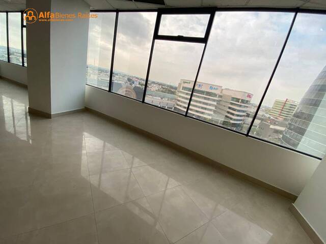 Oficinas para Alquiler en Guayaquil - 4