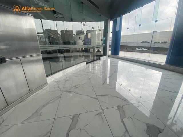 Alquiler Oficina ejecutiva 50m2 EdifExecutive Center Nobis