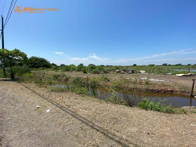 Terrenos Industriales para Venta en Durán - 4