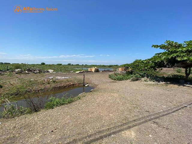 #4150 - Terrenos Industriales para Venta en Durán - G