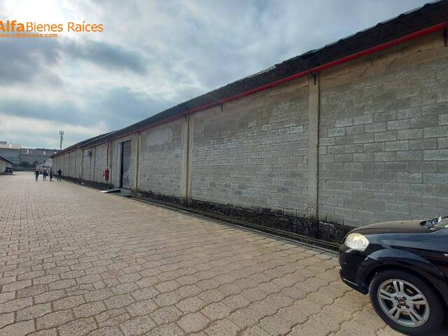 Bodegas para Alquiler en Guayaquil - 5