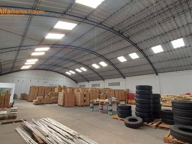 Bodegas para Alquiler en Guayaquil - 3