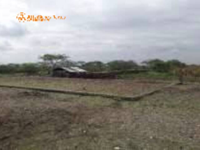#4179 - Terrenos Industriales para Venta en Durán - G - 2