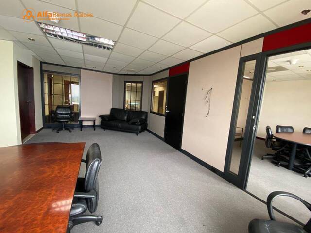 Oficinas para Alquiler en Guayaquil - 4