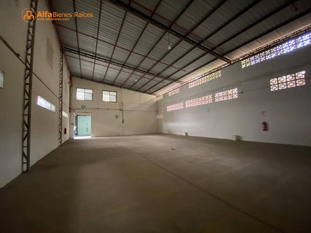 Bodegas para Alquiler en Guayaquil - 4