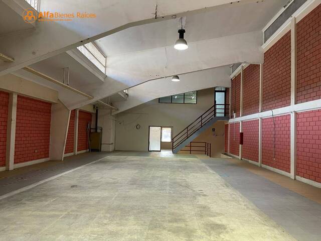 Bodegas para Alquiler en Guayaquil - 4