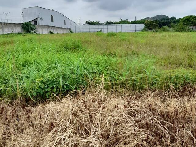 #4058 - Terrenos Industriales para Alquiler en Guayaquil - G