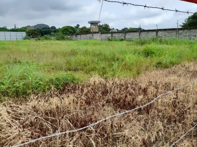 #4059 - Terrenos Industriales para Alquiler en Guayaquil - G