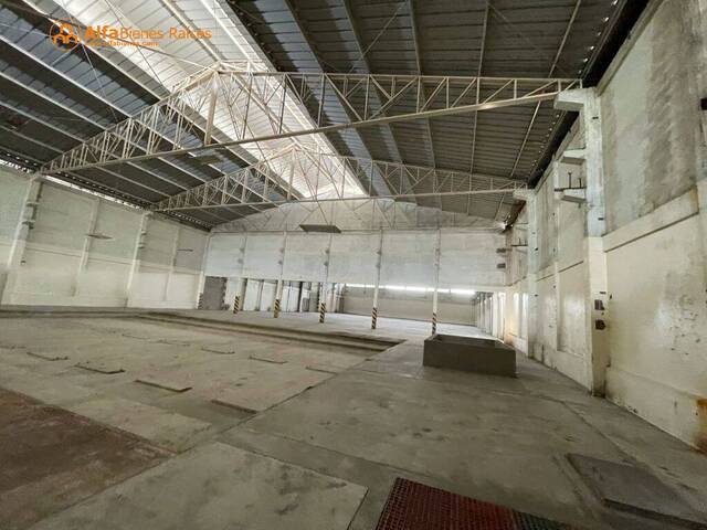 Bodegas para Alquiler en Guayaquil - 4