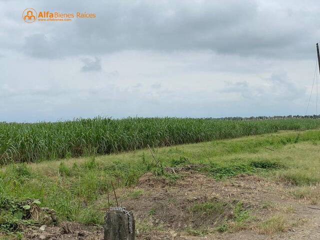 Venta en Vainillo - La Troncal