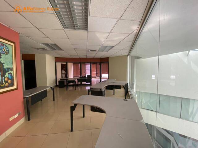 #4159 - Oficinas para Alquiler en Guayaquil - G - 3