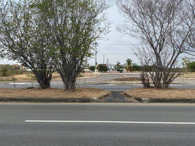 #4276 - Terrenos Industriales para Venta en Durán - G