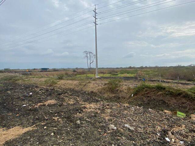 Terrenos Industriales para Venta en Durán - 4