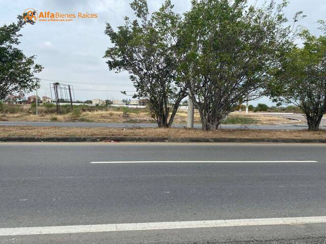Terrenos Industriales para Venta en Durán - 5