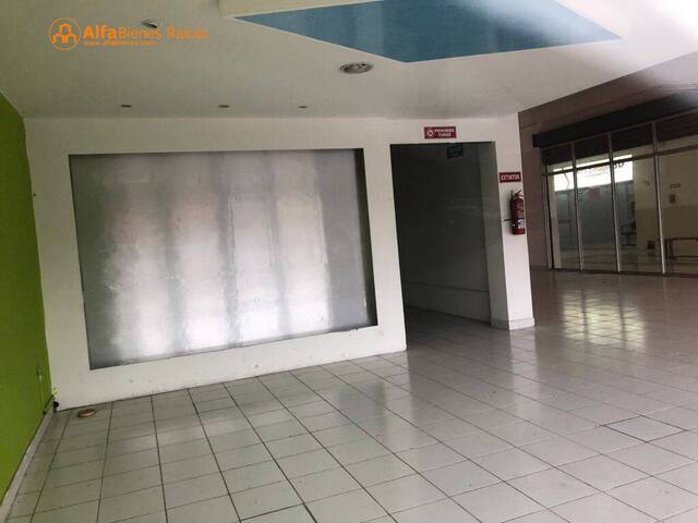 Piso Comercial para Venta en Guayaquil - 5