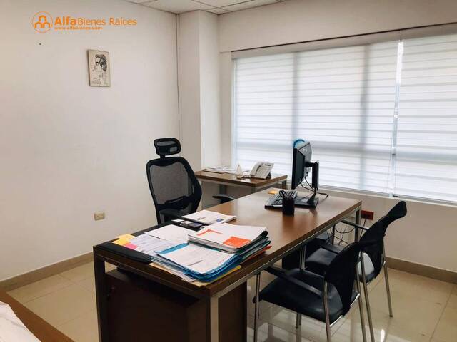 Oficinas para Alquiler en Guayaquil - 4