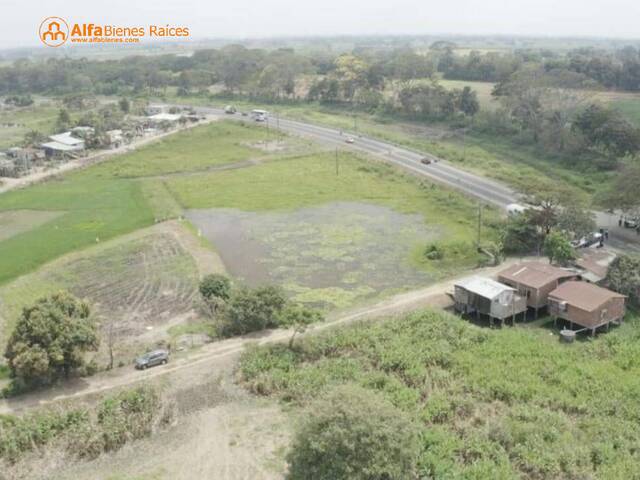 #4334 - Terreno para Venta en Babahoyo - R - 2