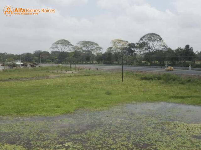 Terreno para Venta en Babahoyo - 4
