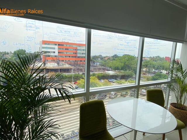Oficinas para Alquiler en Samborondón - 4