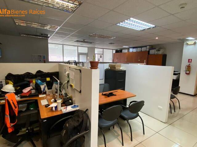 #4376 - Oficinas para Alquiler en Samborondón - G