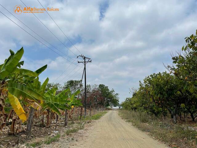 #4380 - Terrenos Industriales para Venta en Yaguachi - G - 2