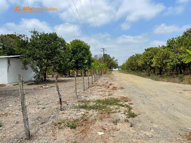 #4380 - Terrenos Industriales para Venta en Yaguachi - G - 1