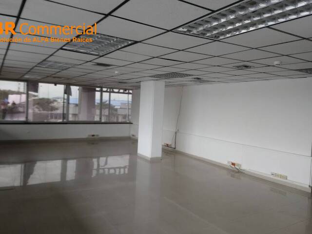 Oficinas para Alquiler en Guayaquil - 5