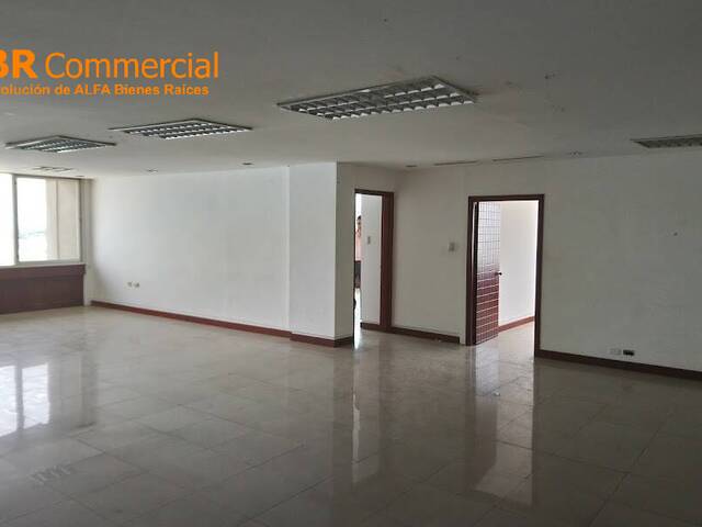 Oficinas para Alquiler en Guayaquil - 4