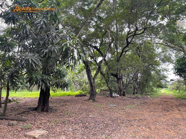 Terreno en venta 50.653m²- Alto impacto, Vía a Daule km 14.5