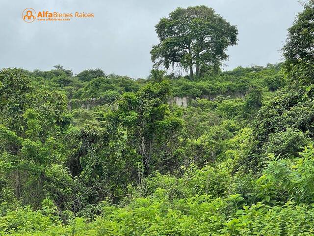 #4314 - Terreno para Venta en Guayaquil - G