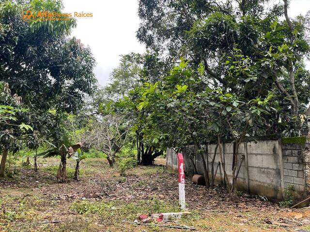 Terreno para Venta en Guayaquil - 5