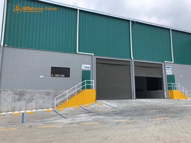 Bodegas para Alquiler en Quito - 4