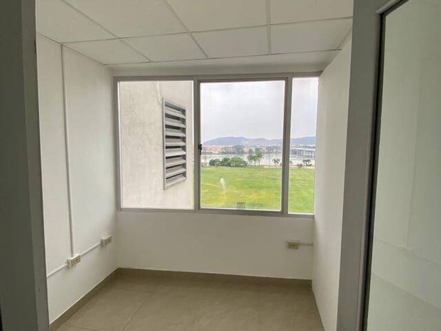 Oficinas para Alquiler en Daule - 5