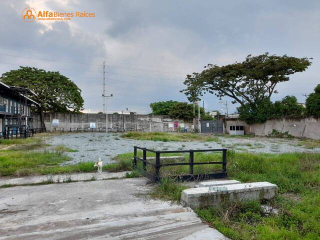 #4454 - Terrenos Industriales para Alquiler en Guayaquil - G - 2