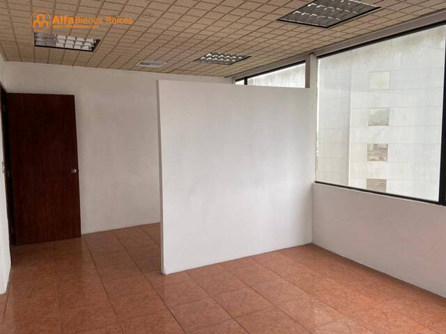 Oficinas para Alquiler en Guayaquil - 4