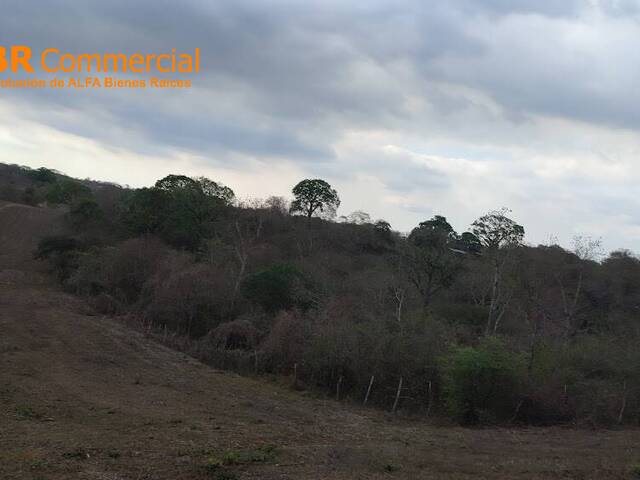 Hacienda para Venta en Guayaquil - 5